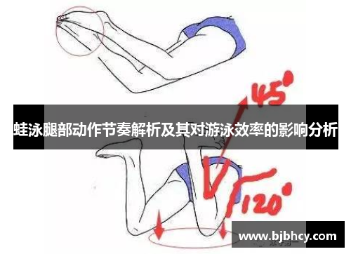 蛙泳腿部动作节奏解析及其对游泳效率的影响分析